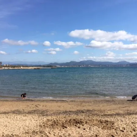 Mimosas Vue Mer